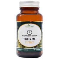 Neogenesis Turkey Tail Mushroom Extract Capsules